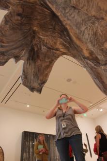 11705534_10207092161645909_3012587526943471394_o