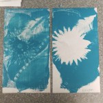 Screen Shot 2017-01-30 at 11.28.48&nbsp;AM