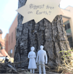 Screen Shot 2017-10-16 at 8.05.50&nbsp;PM